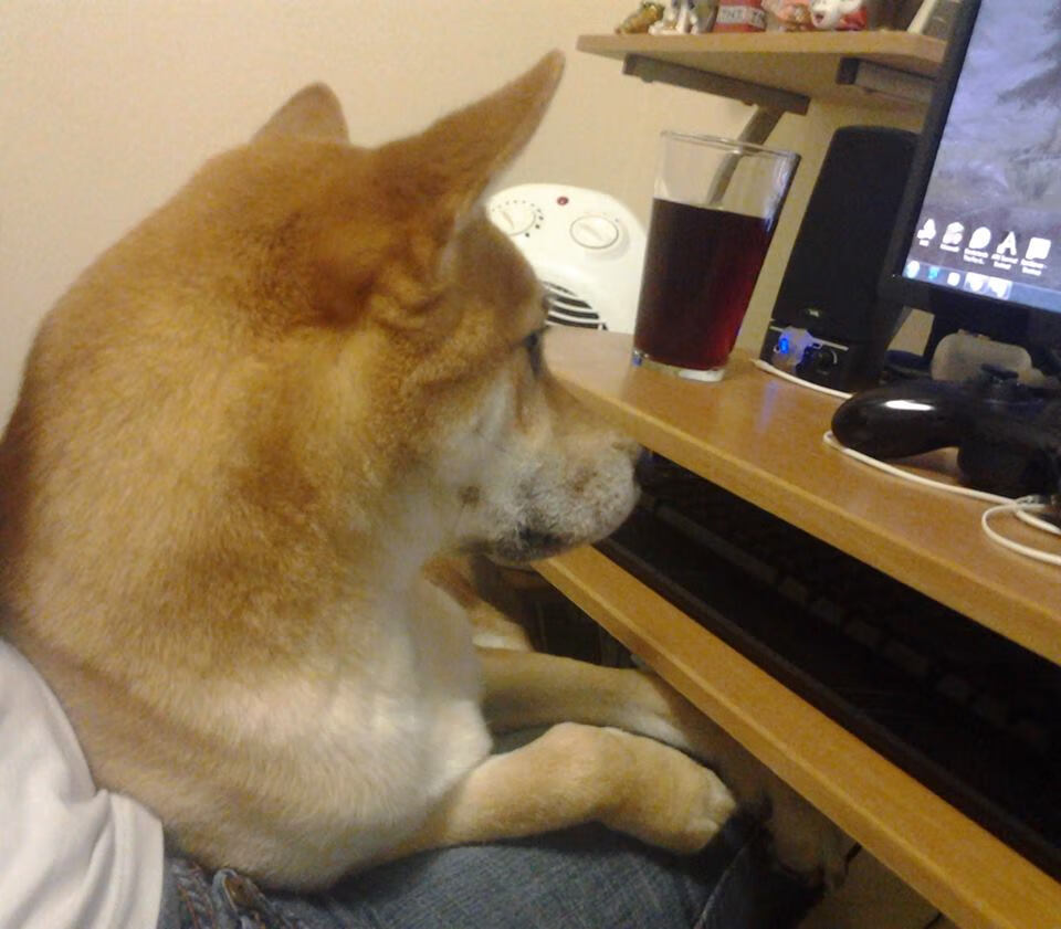 爱游戏登录入口-拼搏精神：每一场比赛背后的坚持与梦想，比赛努力拼搏